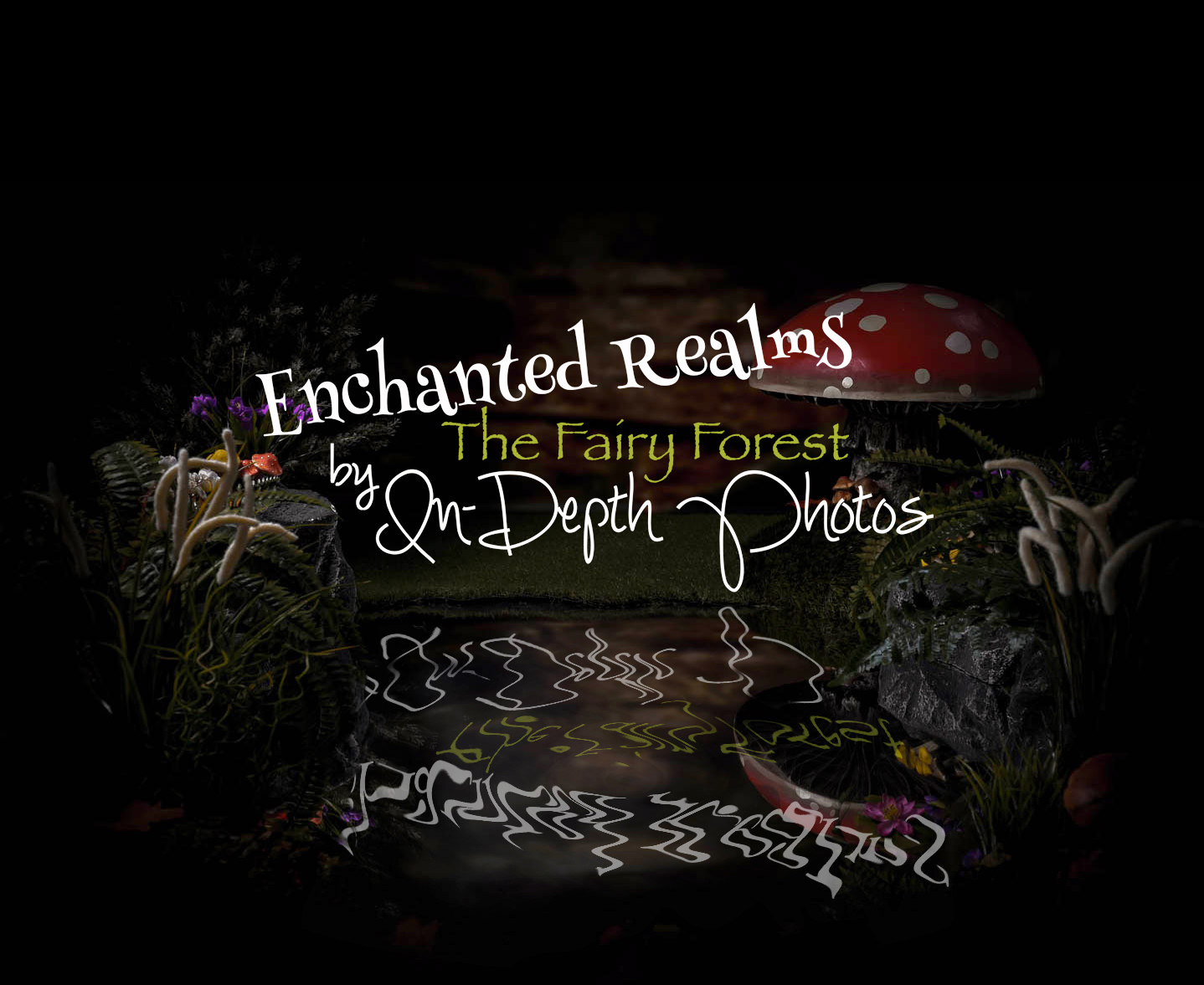 Enchanted-Realms-Fairy-Experience-Wolverhampton.jpg